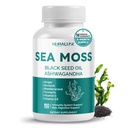 SEA Moss Black Seed Oil Ashwagandha Ginger 16-in-1 Formula - with Burdock, Bladderwrack, Turmeric Non-GMO, Gluten-Free, Soy-Free