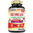 Κάψουλες Red Vine Leaf Extract - με Horse Chestnut, Beet Root, Ginger - Βότανο συμπλήρωμα για την καρδιά, το πόδι Vein & Energy - 90 Vegan Κάψουλες για 45 ημέρες