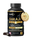 Shilajit Capsules for Men & Women, 16,000mg Pure Himalayan Organic Shilajit Supports Vitality and Wellness,Premium Pure Himalayan Supplement 2 Months Supply, 60 Capsules