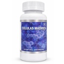 Celulas Madres ενισχυτής βλαστικών κυττάρων