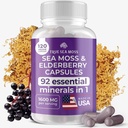 TrueSeaMoss Irish Sea Moss Κάψουλες - 120 Capses Elderberry (1600mg) - Προβιοτικά Superfood - Ενισχύει Το ανοσοποιητικό & πεπτικό σύστημα - υγιές δέρμα, Keto Detox, Gut, Κοινή Υποστήριξη
