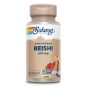 SOLARAY Reishi Mushroom 600mg - Κάψουλες Reishi Mushroom για την υποστήριξη του ανοσοποιητικού - Vegan, Εργαστήριο Επαληθευμένο - Εγγύηση επιστροφής χρημάτων 60 ημερών - 100 μερίδες, 100 VegCaps