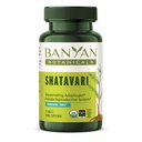 Banyan Botanicals Organic Shatavari Tablets – Rejuvenating Tonic for Feminine Vitality & Reproductive Health – Cooling Adaptogen for Internal Balance & Stress Support – 90 Tablets – USDA Organic
