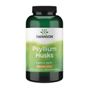 Swanson Psyllium Husk Διαιτητικό Συμπλήρωμα Ίνες 610 mg 300 Καψάκια