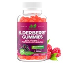 Elderberry 200mg Gummies with Vitamin C, Echinacea, Propolis (100 count) - Immune Support for Adults & Kids - Maximum Strength, Great Tasting Raspberry Flavor - Gluten-Free, Vegan - 100 Gummies