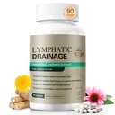 21-in-1 Liposome Lymphatic Drainage Supplement, Lymphatic Drainage Capsules with Dandelion, Cleavers & Echinacea, Immune & Lymph System Support, Fluid Balance & Daily Lymphatic Detox, Vegan 90 Count