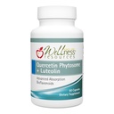 Wellness Resources Quercetin Phytosome 250 mg with Luteolin 100 mg, Mast Cell Stabilizer & Natural Histamine Support for Seasonal Allergies, NAD Support and Neuroprotective Supplement (60 Capsules)