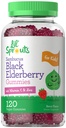 Carlyle Elderberry Gummies for Kids | 120 Count | Zinc and Vitamin C | Berry Flavor | Vegan, Non-GMO, and Gluten Free | by Lil' Sprouts