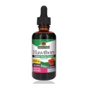 Απάντηση της φύσης Βιολογικό εκχύλισμα Hawthorn 2 Oz - χαμηλή αλκοόλ, χωρίς γλουτένη & Kosher - Υποστήριξη καρδιάς - Ιδανικό για τσάι Hawthorn