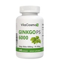 Ginkgo Biloba with Phosphatidylserine Complex, 240 Vegetarian Capsules, Brain Support Supplement - 120 Servings, Gluten Free, Non-GMO, and Vegetarian Friendly