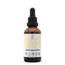 Ashwagandha Alcohol-Free Natural Tincture Extract, Immune System Booster, Liquid Drops Made from 100% Ashwagandha (Withania somnifera) Dried Root (2 fl oz)