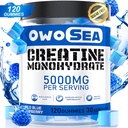 Creatine Monohydrate Gummies for Men & Women 5000mg Creatine Monohydrate per Serving for Muscle Support Energy Boost 120 Count Chewable 5g Creatine Supplement Sugar Free Vegan (1 Pack, Blue Raspberry)