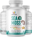 Βιολογικά χάπια Ιρλανδέζικης Θάλασσας - Wildcrafted Dr Sebi Εμπνευσμένο Seamoss Blend με Turmeric, Burdock Root & Bladderwrack, Enhanced with Black Pepper - 60 Caps