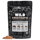 Organic Cocotropic Mushroom Hot Cocoa - Mushroom Coffee Alternative 