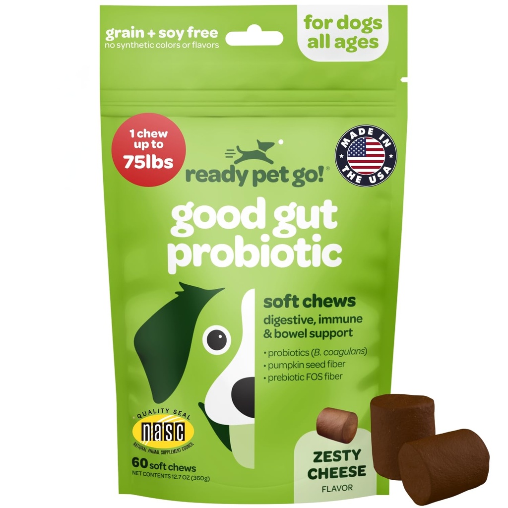 Probiotic Chews for Dogs Gut Health 