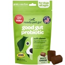 Probiotic Chews for Dogs Gut Health 
