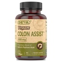 DEVA Vegan Colon Assist – Tablets with Magnesium, Triphala, Psyllium Husk, Senna, Cinnamon and More, 90 Count