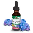 Nature's Answer Hydrangea Root with Organic Alcohol, 1-Fluid Ounce