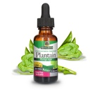 Nature's Answer Plantain Leaf with Organic Alcohol