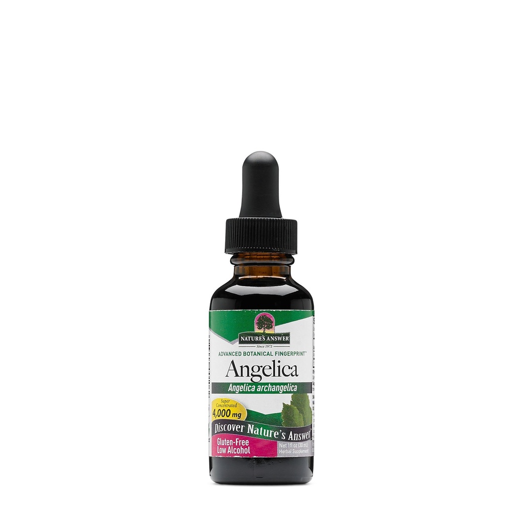 Nature's Answer Angelica Root with Organic Alcohol, 1-Fluid Ounce