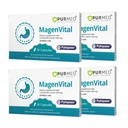purmeo 4 Pack MagenVital Pylopass H. Pylori Probiotic Supplement - 1 Per Day - Gastritis, Acid Reflux, Heartburn, Stomach Lining Repair - Lactobacillus Reuteri DSM17648 - Made in Germany