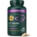 VetriScience Quick Action UT Health Chewable Tables, UT Strength STAT Supplement for Dogs, Cranberry, Uva Ursi, and Chanca Piedra to Soothe Urinary Tract Discomfort, Smoke, 90 Count