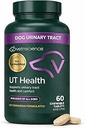 VetriScience Quick Action UT Health Chewable Tables, UT Strength STAT Supplement for Dogs, Cranberry, Uva Ursi, and Chanca Piedra to Soothe Urinary Tract Discomfort, Smoke, 90 Count