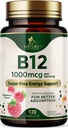Vitamin B12 - 1000 mcg Per Serving Maximum Strength Methylcobalamin B-12 Chewable Tablet - Energy, Nervous System & Brain Support - Fast Dissolve, Gluten-Free, Non-GMO for Women & Men - 120 Tablets