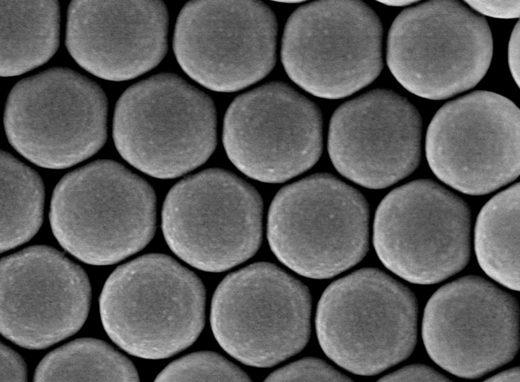 Colloidal Polystyrene Beads (Non-Functionalized, 900 nm, 10 mg/ml, 10 ml)