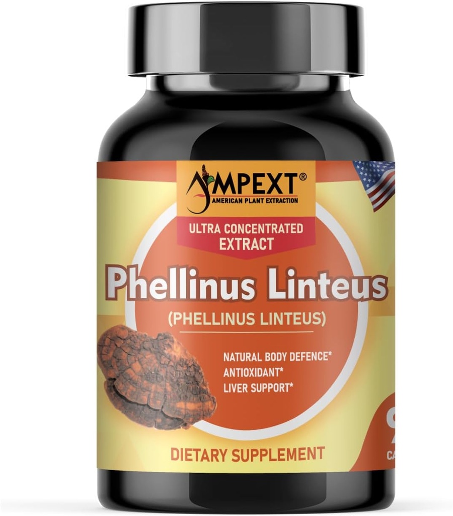 Phellinus linteus Mushroom Extract - Premium Quality, Μόνο Καρπωτικά Σώματα, Αντιοξειδωτικό, Ανοσία Booster, Υποστήριξη ήπατος, 90 Veg Caps.