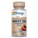 SOLARAY Fermented Turkey Tail Mushroom Supplement 1000mg - Συνολική υποστήριξη ευεξίας - Turkey Tail Mushroom Capses with Organic Mushrooms - Vegan, Non-GMO, Lab Επαληθευμένο, 60-Day εγγύηση, 30 υπηρεσίες