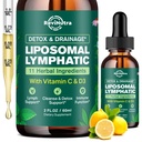 Liposomal Lymphatic Drainage Liquid Drops - Lymphatic Support Supplement with Dandelion Root, Cleavers, Echinacea, Calendula for Immune, Detox Cleanse, Lymph System Support, Lemon Flavor, 2 Fl Oz