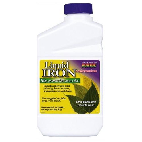 Liquid Iron Complex Fertilizer Concentrate, 32-oz.