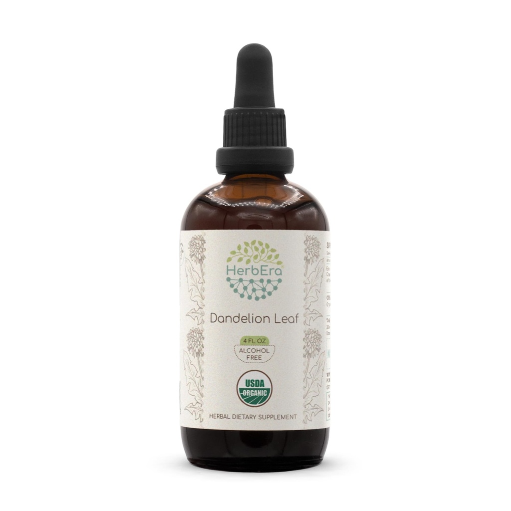 HerbEra Dandelion Leaf B120 USDA Organic Tincture | Alcohol-Free Extract, High-Potency Herbal Drops, Digestive System | Certified Organic Taraxacum Officinale Dried Leaf (4 fl oz)