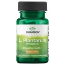 Swanson L. Plantarum - 10 Billion CFUs - Probiotic Supplement for Occasional Gas & Bloating - Supports Lower GI Tract Health* - No Refrigeration Needed - Non-GMO - 30 Vegan Capsules