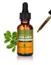 Herb Pharm Uva Ursi Liquid ExtraCount for Urinary System Support, 1 Oz