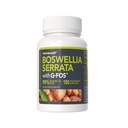 NANOWELL Boswellia Serrata with G-FOS - 98% Boswellic Acid - Supports Joint & Mobility Health - 180 Vegan Capsules, 180 Day Supply