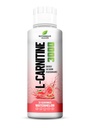 Liquid L-Carnitine 3000 mg | Triple Carnitine Complex + Vitamins | Sugar-Free, Vegan, Non-GMO | Fast Absorption Liquid | Energy & Fat Metabolism Support | 31 Servings | Watermelon