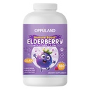 Immune Support Gummies - Elderberry Vitamin C Zinc Supplement for Adults & Kids - Daily Multivitamin Gummies to Boost Immunity Power & Wellness Naturally Chewable Supplements - 180 Day Supply