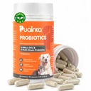 PUAINTA Probiotics for Dogs & Cats – 8-Strain Probiotic with Prebiotics for Digestive & Gut Health, Immune & Stool Support, Helps Dogs Eating Dirt, Grass & Non-Food Items, 90 Count