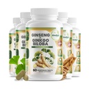 GreeNatr Ginko Biloba & Panax Ginseng Συμπλήρωμα - Κόκκινο Ginseng για Μνήμη και Εστίαση - Ginkgo Biloba για Καλή Όραση, ανοσοποιητικό σύστημα και βελτιωμένη ροή αίματος (360 δισκία: 6 μπουκάλια)