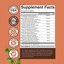 Προηγμένη Mushroom Complex κάψουλες - 10X Lions Mane Συμπληρώματα κάψουλες με Reishi, Chaga, Maitake & Shiitake για την υποστήριξη και εστίαση μνήμης εγκεφαλικής υγείας - Nootropic for Mental Clarity - 30 Caps