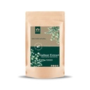 Blessfull Healing Gudmar Extract (Gymnema Sylvestre) Powder 100% Pure Natural 100 Gram / 3.52 oz