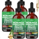 Moringa Supplement Drops - Ashwagandha, Spirulina, Chlorella, Turmeric & Ginger Liquid Barley Grass with Chlorophyll, Matcha, Algae, Vitamin C Antioxidant, Holy Basil, Ceylon Cinnamon - 8fl Oz