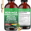 Moringa Supplement Drops - Ashwagandha, Spirulina, Chlorella, Turmeric & Ginger Liquid Barley Grass with Chlorophyll, Matcha, Algae, Vitamin C Antioxidant, Holy Basil, Ceylon Cinnamon - 2fl Oz