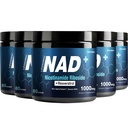 Supplement