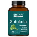 100% Organic Gotu Kola Tablets 10,000mg (90 Count) Vegan & Gluten-Free Herbal Supplement, No Added Colors, Flavors, & Preservatives, 90 Tablets (Pack of 1)