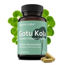 Gotu Kola Capsules - Premium Centella Asiatica Extract, Collagen Support, Skin, Longevity & Anti-Aging Supplement, 30% Triterpenoids, Doctor Formulated - 60 Count