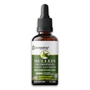 Dr.WellMe Mullein Chlorophyll 2 fl oz Liquid Drops – Natural Detox & Promotes Health, Gut Support, High Absorption, Packed with Minerals for Wellness