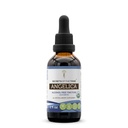 Secrets of the Tribe Angelica USDA Organic | Alcohol-Free Extract, High-Potency Herbal Drops | Made from 100% Certified Organic Angelica archangelica Dried Root (2 oz)